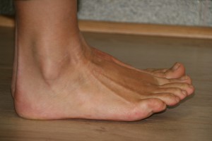 IMG_6296